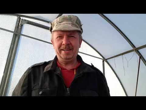 Видео: Обогрев грунта в теплице!Отличный эффект!Часть 2