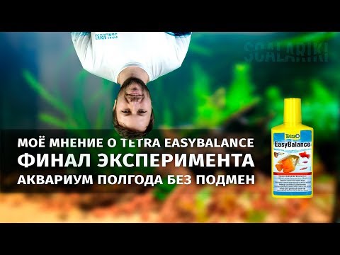 Видео: Аквариум полгода без подмен с Tetra EasyBalance. Финал