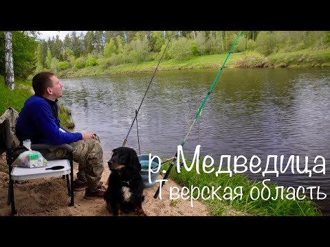 Видео: РЫБАЛКА СУПЕР! ЛОВЛЯ ЛЕЩА НА ДОНКУ. Двое суток на Дикой реке Медведице.