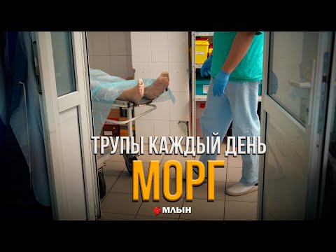 Видео: РАБОТА С ТРУПАМИ  | МОНОЛОГ СУДМЕДЭКСПЕРТА