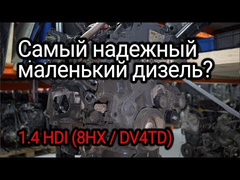 Видео: 1.4 HDI / TDCi: французский дизель надежнее немецких?