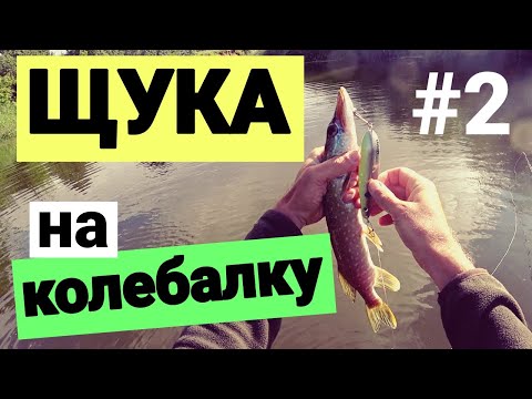 Видео: Классическая рыбалка на простую снасть: ИНЕРЦИОННАЯ КАТУШКА НЕЛЬМА, колебалки и вертушки.