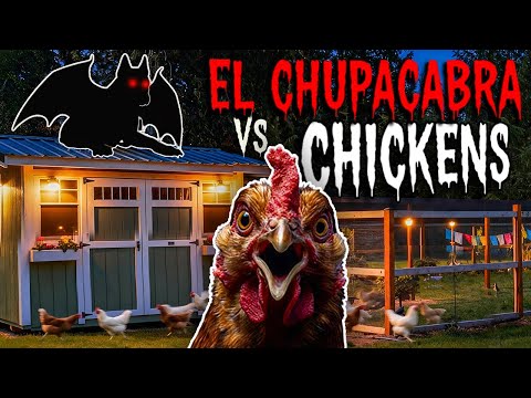 Видео: Специальный выпуск Chickenlandia к Хэллоуину 2025!