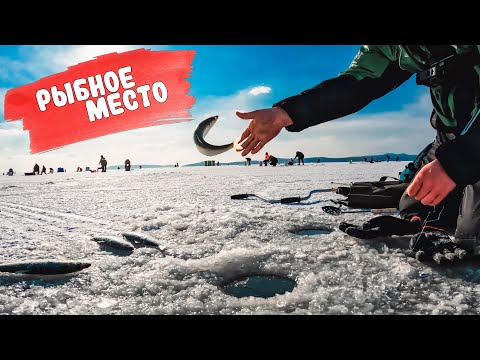 Видео: Пробурил и ПОПЁРЛО! Зимняя рыбалка на селёдку.
