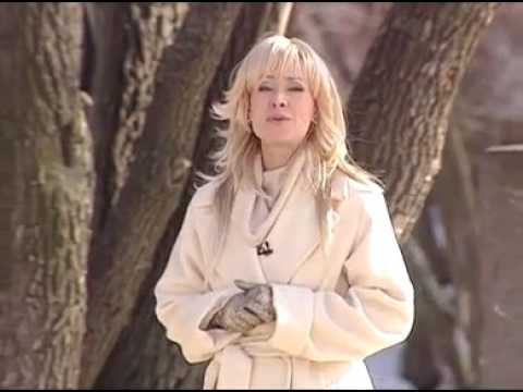 Видео: Большая Разница: Женский взгляд