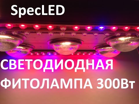 Видео: Светодиодная фитолампа 300Вт Cree 3500К + би-спектр. Измерение спектра Cree CXB3590