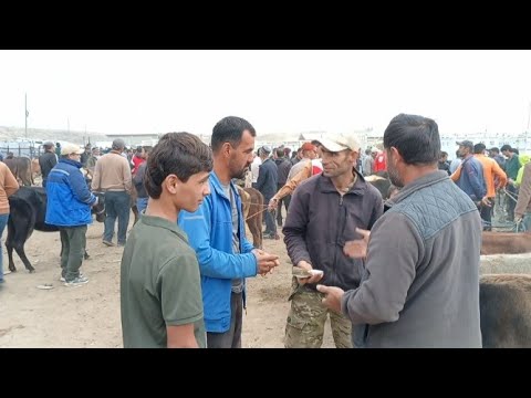 Видео: 5 октября 2025 Г. ЯКШАНБЕ БОЗОРИ НОХЯИ ФАРХОР РАЗБОР ДАР РАФТИ САВДО