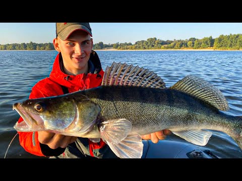 Видео: ДУМАЛ СПИННИНГ ВЫБЬЕТ ИЗ РУК! Ловля крупного судака на джиг. Рыбалка осенью на спиннинг 2023