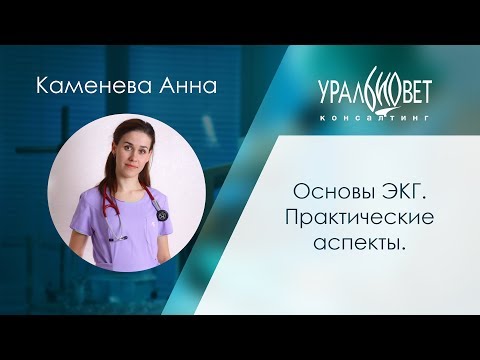 Видео: Основы ЭКГ. Практические аспекты. Каменева Анна #убвк_кардиология #убвк_инструментальная_диагностика