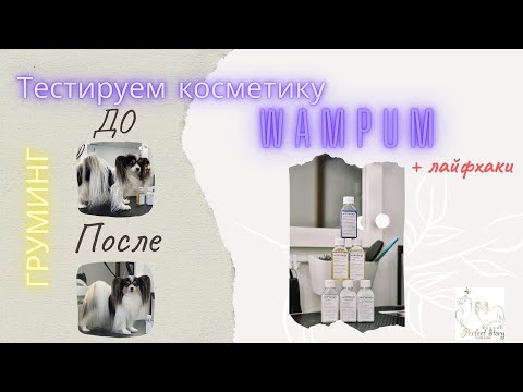 Видео: Грумер-заводчик папийонов тестирует “Wampum” - профи косметика из ЮАР