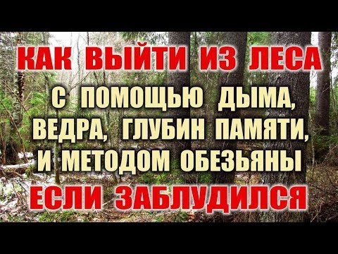 Видео: ОРИЕНТИРОВАНИЕ. Если заблудился в лесу что делать? Как выйти из леса Как ориентироваться без компаса