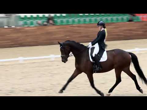 Видео: КЮР Юношеских езд. Мария Макарова и датская теплокровная кобыла РА ФЕТТИ