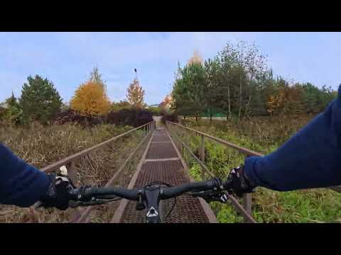 Видео: Золотая осень! ВЕЛОПОКАТУШКА 185