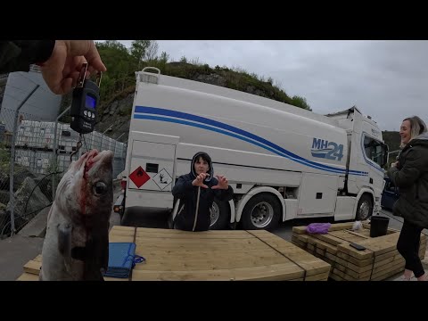 Видео: Ох и рыбалка, Сквадрон не выдержал  Активность клёва 54%