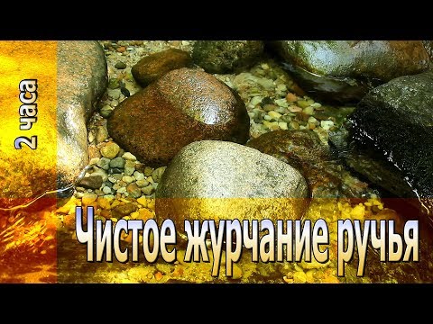 Видео: Чистое ЖУРЧАНИЕ ручья // @ТИШИНА the Silence