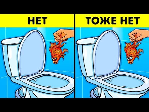 Видео: 12 Предметов, Которые Нельзя Смывать в Унитаз