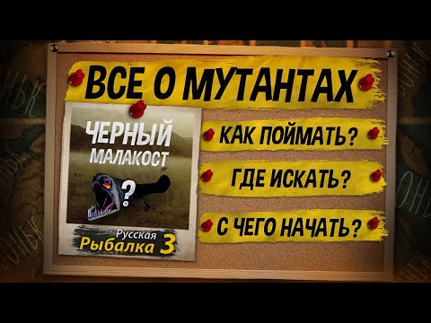 Видео: Как Поймать Мутанта. Русская Рыбалка 3. Все ответы за 26 минут.