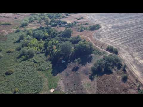 Видео: Деревня Чернавка 2020 Шипов лес!Пузевское поселение