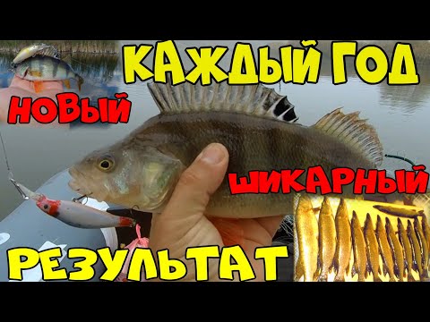 Видео: ВОБЛЕРЫ КОТОРЫЕ ЛОВЯТ КОГДА ЩУКА НЕ БЕРЕТ!ОНИ ВЫРУЧАТ ВСЕГДА!ДВА УБОЙНЫХ ВОБЛЕРА!МОИ ЛЮБИМЦЫ!