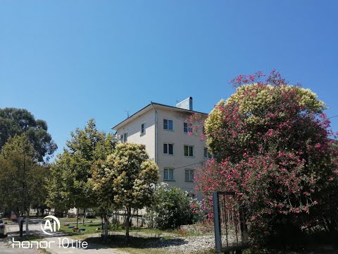 Видео: Продажа 3 ком квартиры Сухум, п Агудзера