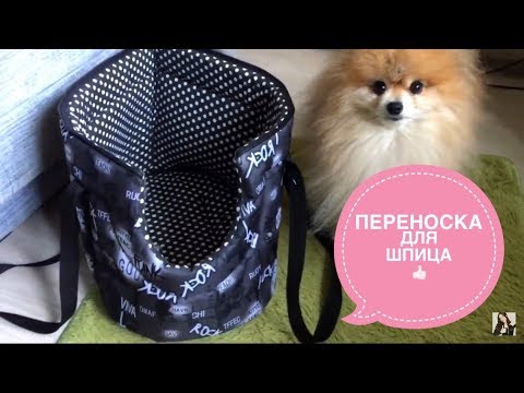 Видео: ПЕРЕНОСКА ДЛЯ МИНИ-СОБАК