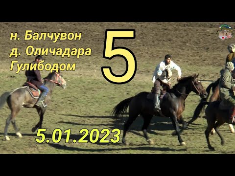 Видео: Бузкаши дар н Балчувон д Оличадара (Гулибодом) Кисми 5