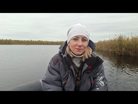 Видео: Осенняя рыбалка на лесном озере. Рыба сошла С УМА !
