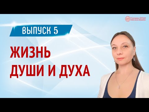 Видео: Куда попадает душа после смерти. Цикл Жизнь души и духа. Выпуск 5 | Глазами Души