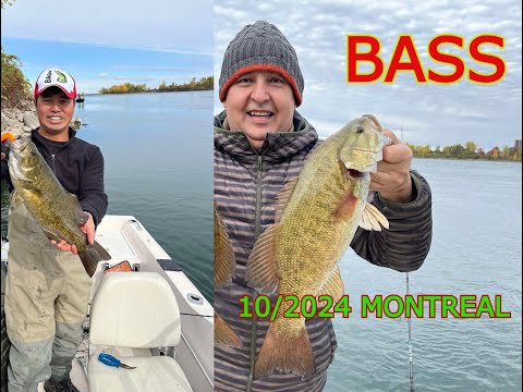 Видео: РЫБАЛКА НА БАССA , BASS FISHING CANADA 10/2024