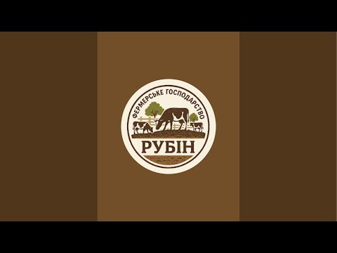 Видео: Ваз 2112 за 3000 ТОРГ!