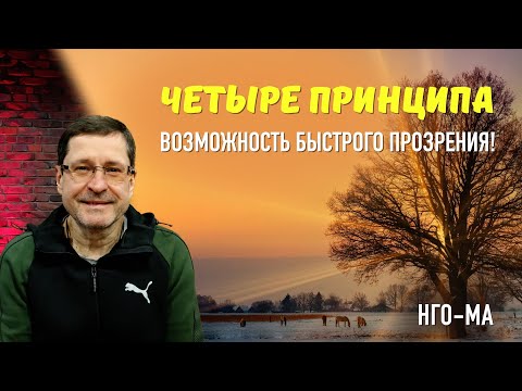 Видео: Четыре принципа - возможность быстрого Прозрения!