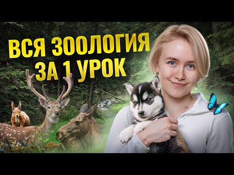 Видео: ВСЯ зоология за 5 часов | Тотальный разбор теории для ОГЭ по биологии | Умскул
