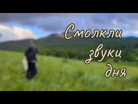 Видео: Смолкли звуки дня