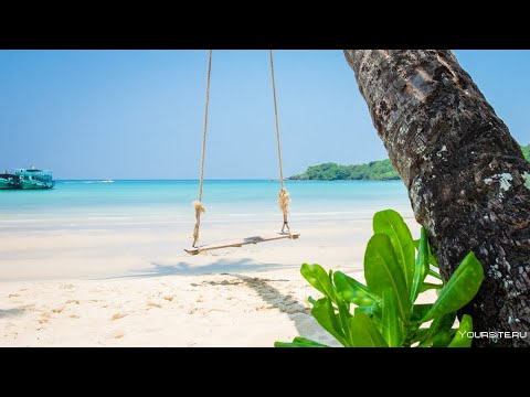 Видео: Едем на KOH SAMET. Как доехать. ТРАНСФЕР. Тайланд. ОПАСНЫЙ Остров Самет? Восхитительный закат!