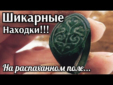 Видео: Шикарные находки на распаханном поле! Коп монет и старины! Поиск металлоискателем! Поле удивило!