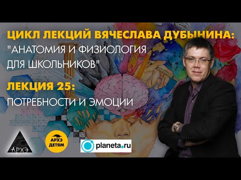 Видео: Вячеслав Дубынин: "Потребности и эмоции" (Лекция 25)