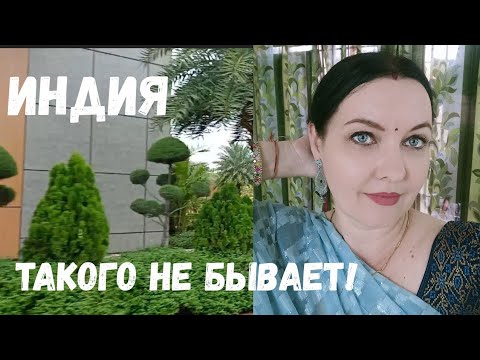 Видео: Один день в Индии , страна,которая удивляет.