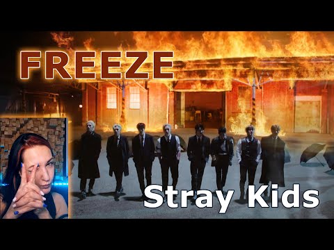 Видео: Брутальные спецагенты🤤 || Stray Kids - FREEZE Reaction