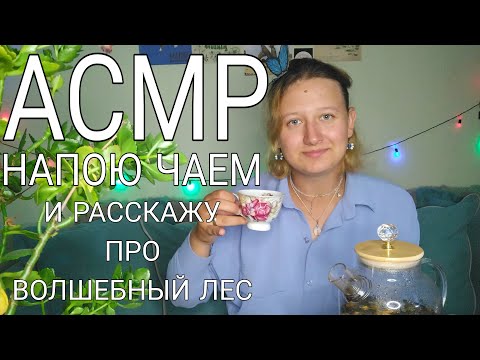 Видео: АСМР расскажу тебе о лесе за чашкой чая (2)