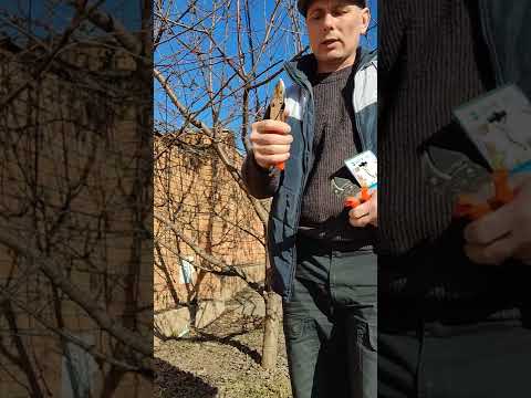 Видео: Секатор LÖWE 10.107