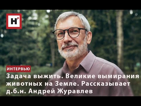 Видео: ЗАДАЧА ВЫЖИТЬ. ВЕЛИКИЕ ВЫМИРАНИЯ ЖИВОТНЫХ НА ЗЕМЛЕ. РАССКАЗЫВАЕТ Д.Б.Н. АНДРЕЙ ЖУРАВЛЕВ