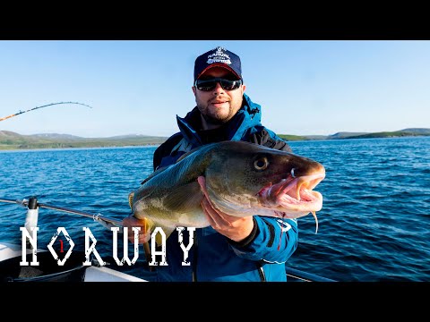 Видео: Рыбалка в Норвегии (ч.1) | Долгая дорога | Морская рыбалка | Жареная треска на воке.