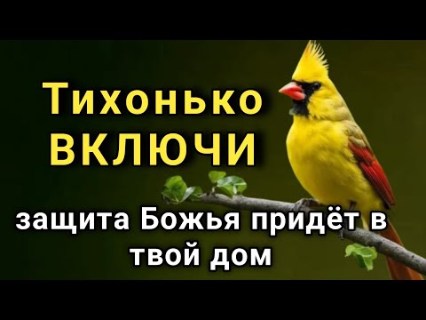 Видео: ☝️ Включи дуа  и беда не коснётся родных и дома  🤲✨🔑💯