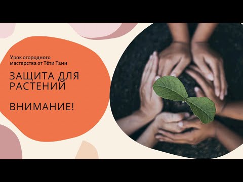 Видео: 565. Четыре волшебные коробочки.