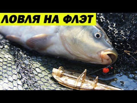 Видео: Рыбалка летом. Flat Method на коммерческом водоеме.
