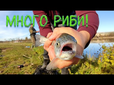 Видео: Страхотен УЛТРАЛАЙТ Риболов: Пъстърви, Костури и Сулки.