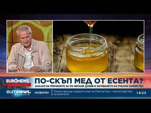 Видео: Пчелари алармират за "нулева година" в бранша