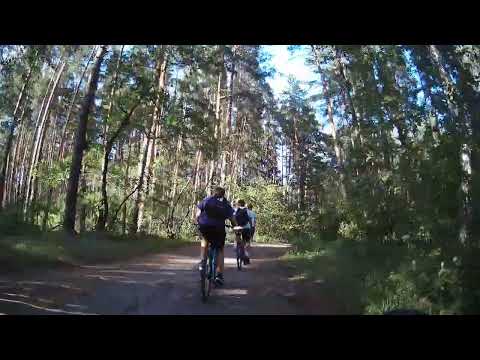 Видео: пошло поехало 
