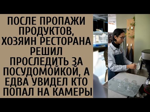 Видео: После пропаж еды, хозяин ресторана решил проследить за посудомойкой, а увидев кто попал на каме