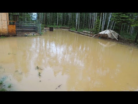 Видео: Жизнь на Аляске.Лето,осень.